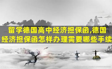 留学德国高中经济担保函,德国经济担保函怎样办理需要哪些手续