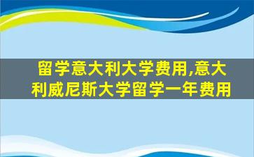 留学意大利大学费用,意大利威尼斯大学留学一年费用