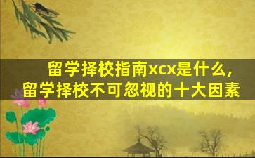 留学择校指南xcx是什么,留学择校不可忽视的十大因素