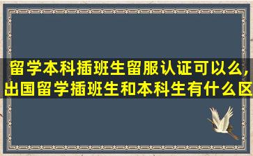 留学本科插班生留服认证可以么,出国留学插班生和本科生有什么区别