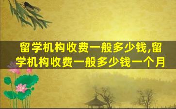 留学机构收费一般多少钱,留学机构收费一般多少钱一个月