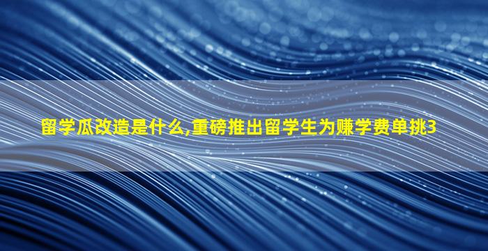 留学瓜改造是什么,重磅推出留学生为赚学费单挑3