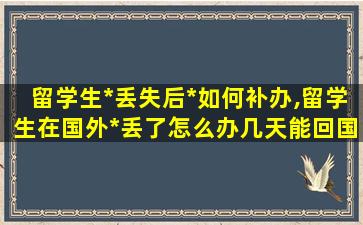 留学生*
丢失后*
如何补办,留学生在国外*
丢了怎么办几天能回国