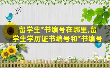 留学生*
书编号在哪里,留学生学历证书编号和*
书编号