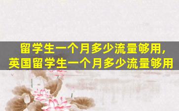 留学生一个月多少流量够用,英国留学生一个月多少流量够用