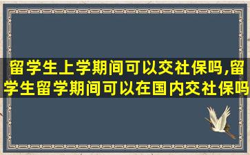 留学生上学期间可以交社保吗,留学生留学期间可以在国内交社保吗