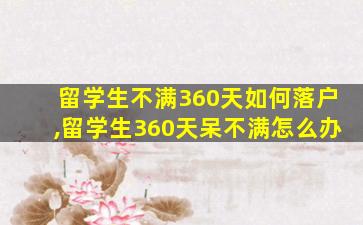 留学生不满360天如何落户,留学生360天呆不满怎么办