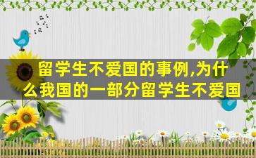 留学生不爱国的事例,为什么我国的一部分留学生不爱国