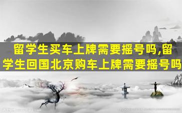 留学生买车上牌需要摇号吗,留学生回国北京购车上牌需要摇号吗