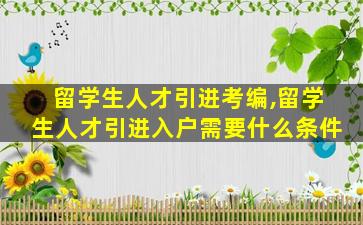 留学生人才引进考编,留学生人才引进入户需要什么条件