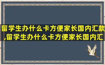 留学生办什么卡方便家长国内汇款,留学生办什么卡方便家长国内汇款呢