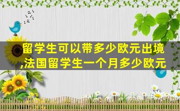 留学生可以带多少欧元出境,法国留学生一个月多少欧元