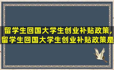 留学生回国大学生创业补贴政策,留学生回国大学生创业补贴政策是什么