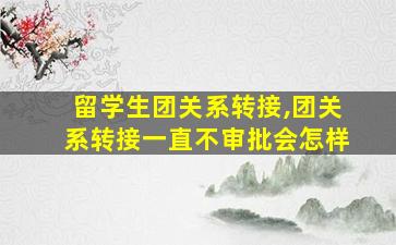 留学生团关系转接,团关系转接一直不审批会怎样