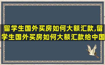 留学生国外买房如何大额汇款,留学生国外买房如何大额汇款给中国人