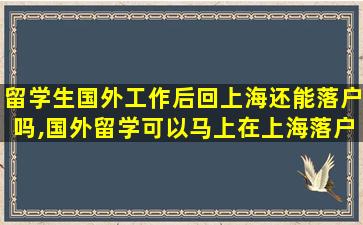 留学生国外工作后回上海还能落户吗,国外留学可以马上在上海落户吗