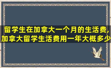 留学生在加拿大一个月的生活费,加拿大留学生活费用一年大概多少人民币