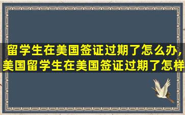 留学生在美国签证过期了怎么办,美国留学生在美国签证过期了怎样续签