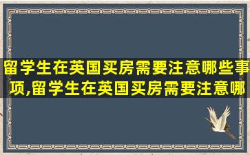 留学生在英国买房需要注意哪些事项,留学生在英国买房需要注意哪些事项和细节