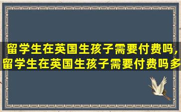 留学生在英国生孩子需要付费吗,留学生在英国生孩子需要付费吗多少钱