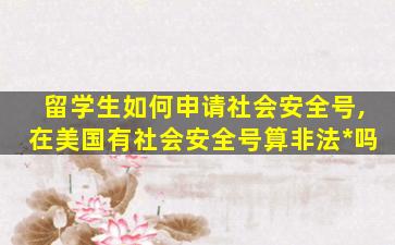 留学生如何申请社会安全号,在美国有社会安全号算非法*
吗