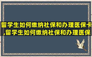 留学生如何缴纳社保和办理医保卡,留学生如何缴纳社保和办理医保卡的区别