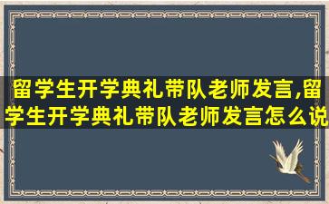 留学生开学典礼带队老师发言,留学生开学典礼带队老师发言怎么说