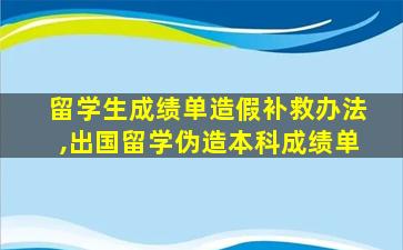 留学生成绩单造假补救办法,出国留学伪造本科成绩单