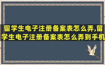 留学生电子注册备案表怎么弄,留学生电子注册备案表怎么弄到手机上