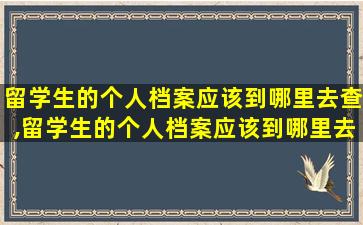 留学生的个人档案应该到哪里去查,留学生的个人档案应该到哪里去查看