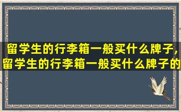 留学生的行李箱一般买什么牌子,留学生的行李箱一般买什么牌子的好