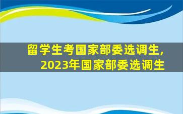 留学生考国家部委选调生,2023年国家部委选调生