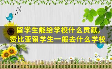 留学生能给学校什么贡献,赞比亚留学生一般去什么学校