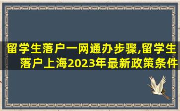 留学生落户一网通办步骤,留学生落户上海2023年最新政策条件