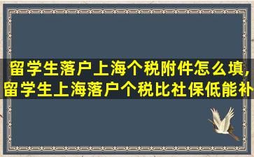 留学生落户上海个税附件怎么填,留学生上海落户个税比社保低能补交吗