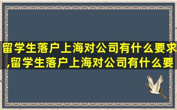 留学生落户上海对公司有什么要求,留学生落户上海对公司有什么要求和条件