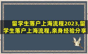 留学生落户上海流程2023,留学生落户上海流程,亲身经验分享