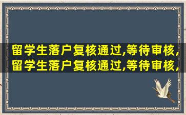 留学生落户复核通过,等待审核,留学生落户复核通过,等待审核,还有什么流程