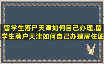 留学生落户天津如何自己办理,留学生落户天津如何自己办理居住证