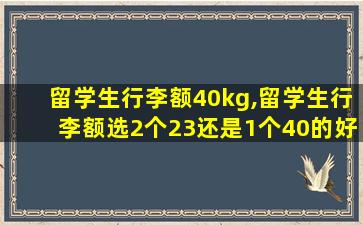 留学生行李额40kg,留学生行李额选2个23还是1个40的好