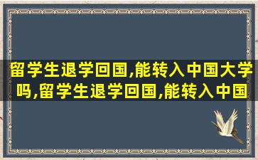 留学生退学回国,能转入中国大学吗,留学生退学回国,能转入中国大学吗现在