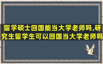 留学硕士回国能当大学老师吗,研究生留学生可以回国当大学老师吗