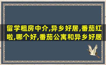 留学租房中介,异乡好居,番茄红啦,哪个好,番茄公寓和异乡好居