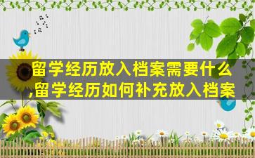 留学经历放入档案需要什么,留学经历如何补充放入档案