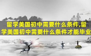 留学美国初中需要什么条件,留学美国初中需要什么条件才能毕业