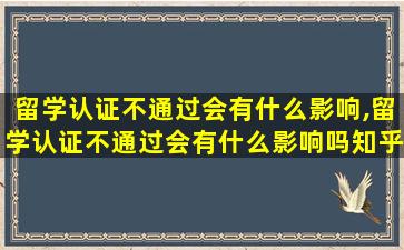 留学认证不通过会有什么影响,留学认证不通过会有什么影响吗知乎