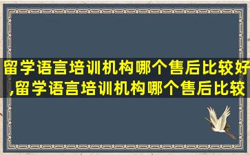 留学语言培训机构哪个售后比较好,留学语言培训机构哪个售后比较好点