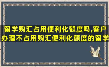 留学购汇占用便利化额度吗,客户办理不占用购汇便利化额度的留学学费