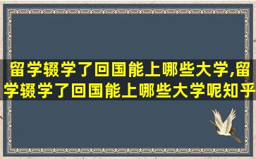 留学辍学了回国能上哪些大学,留学辍学了回国能上哪些大学呢知乎