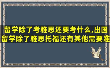 留学除了考雅思还要考什么,出国留学除了雅思托福还有其他需要准备的